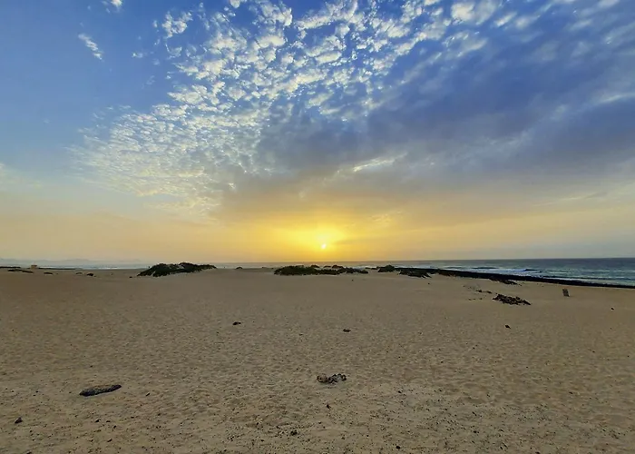 Y Estudios Art Lab Fuerteventura