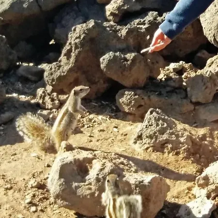 Y Estudios Art Lab Fuerteventura