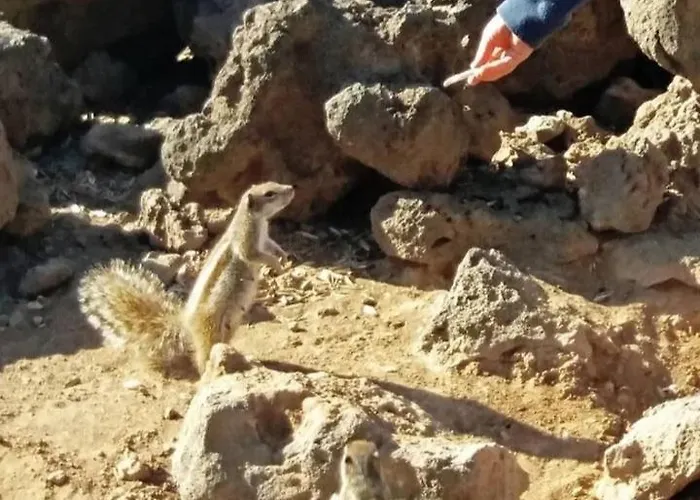 Y Estudios Art Lab Fuerteventura